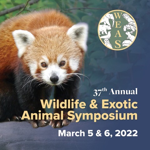 American Association of Zoo Veterinarians (AAZV)